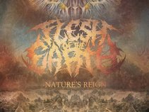 Flesh of the Earth