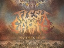 Flesh of the Earth