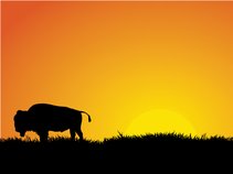 Romen Buffalo