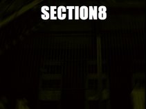 Section8