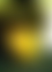 1339751148 when i was barely 21 years old