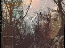 The Wood And The Wild