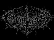 Mortuas