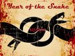 Year of the Snake
