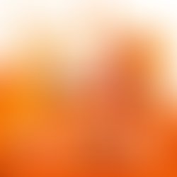 Monalisa twins orange album cover 1000