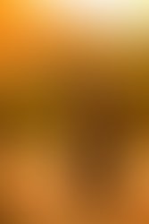 Cowboy shirt and guitar full