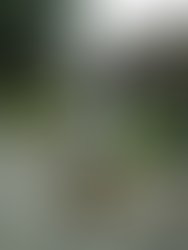 1377812981 106337362909389 1361341516 n