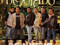 DEZOLADO