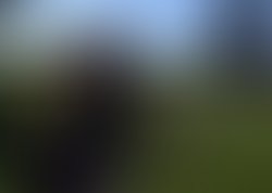 1379098540 artist 3598735 1379098512