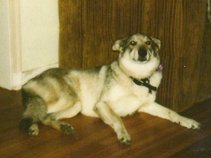 The Bandana Brothers