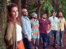 The Crooked Vines
