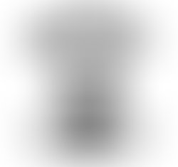 1384105637 image 1364937282224987