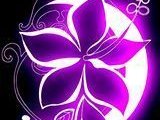 Moonflower