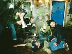 Image for Gustav and The Seasick Sailors