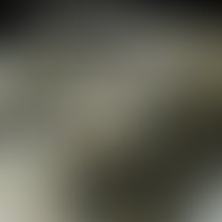 Img 20250122 115213 109 copy 4000x4000