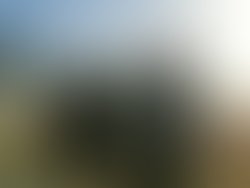 1345216969 santa monica