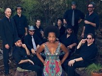 Akina Adderley & the Vintage Playboys