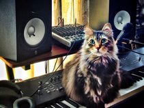 FunkCat Brown
