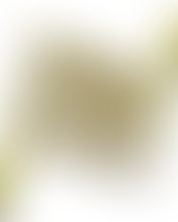 Tuip 2 1250572015