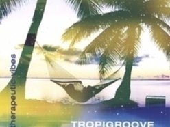 Image for TROPIGROOVE