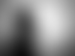 1384083783 artist 3614498 1384083770