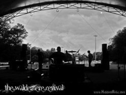 Image for The Waldemere Revival