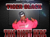 tigerBlack229