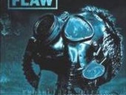 Image for FLAW