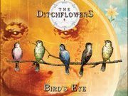 The Ditchflowers