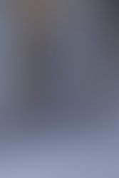 1461350857 1333501760009826 2035410653 n