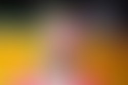 2dffdff8 7b72 460b 93c8 bd94b8f9ecdd