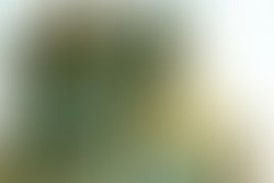 Artist 3625682 1469861783