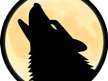 Liam Wolf