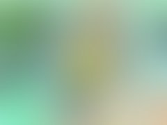 Money dollar  for this reality