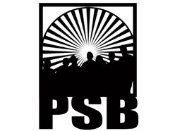 Image for The Papa String Band