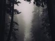 AUDITORY RHYTHMS