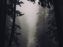 AUDITORY RHYTHMS