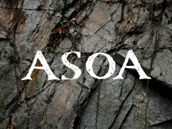 A Shrewdness of Apes