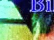 Bill Dyckns