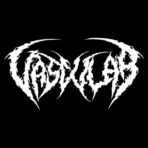 ReverbNation profile picture for @vascular