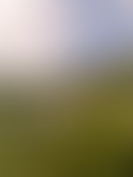 1379806603 in th hills