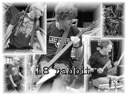 Image for 18 Rabbit