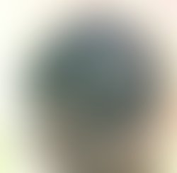 Artist 365586 1486603597