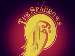 Image for The Sparrows