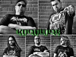 Image for Korotory