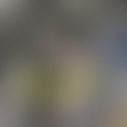 Webp net resizeimage 2 