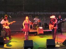 Michael Thomason Band