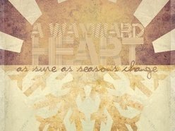 Image for A Wayward Heart