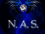 New Angel Society