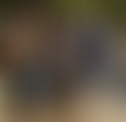 1381287693 hickoryholler4